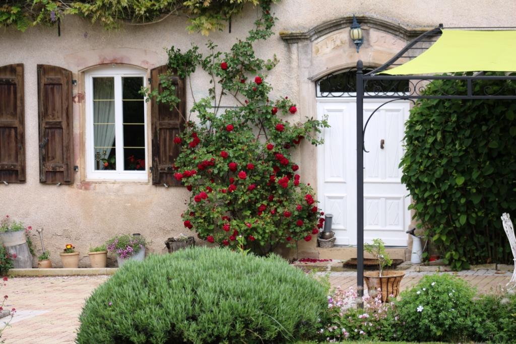 Le Clos D'Albray - Chambres D'Hotes Et Gite Comps-la-Grand-Ville Exteriör bild